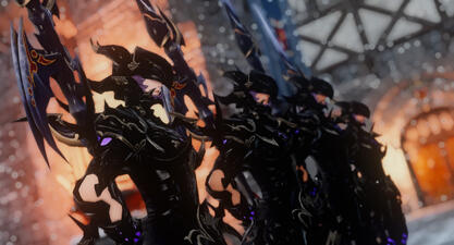 The Knights Dragoon.